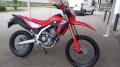 Honda CRF300 L /RALLY